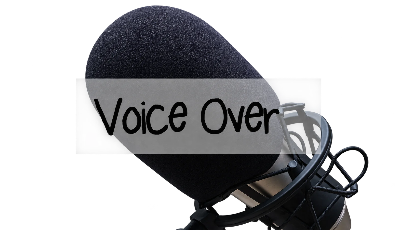 Un microphone de studio équipé d'un bonnet anti-pop sombre et d'une suspension élastique.